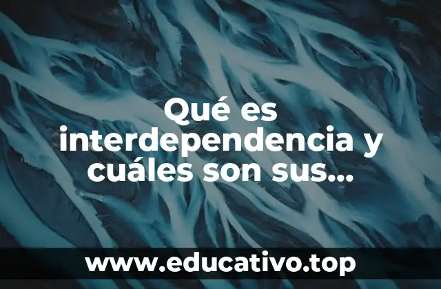 Qué es interdependencia y cuáles son sus elementos