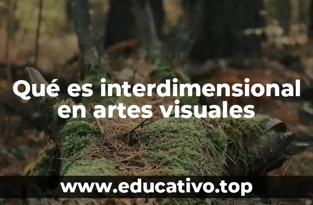 Qué es interdimensional en artes visuales