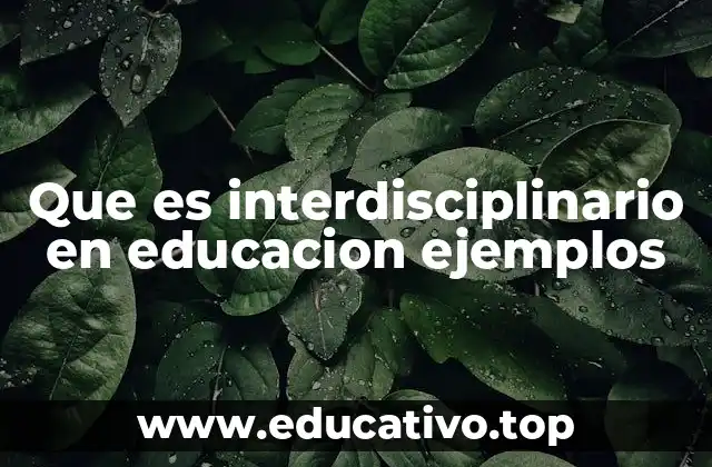 Que es interdisciplinario en educacion ejemplos