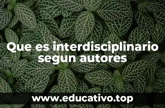 Que es interdisciplinario segun autores