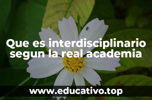 Que es interdisciplinario segun la real academia