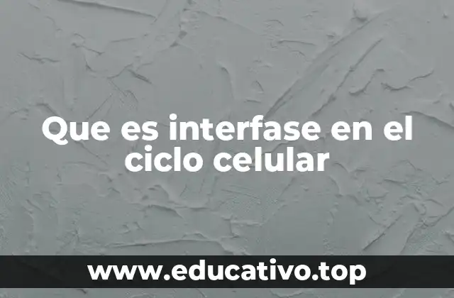 Que es interfase en el ciclo celular