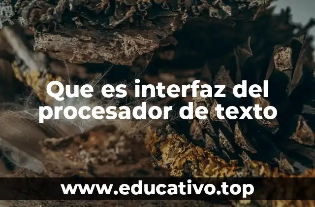 Que es interfaz del procesador de texto