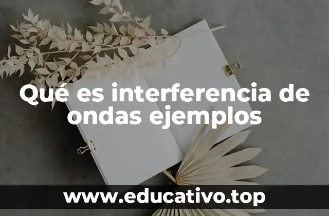Qué es interferencia de ondas ejemplos