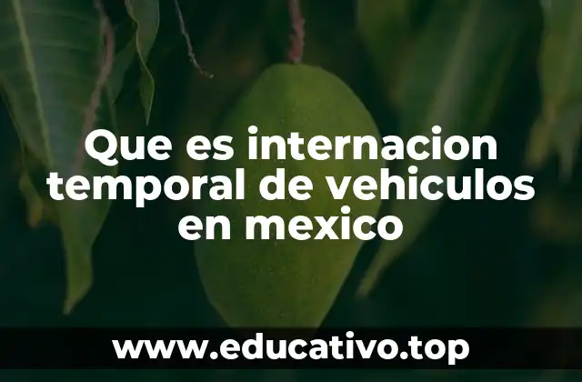 Que es internacion temporal de vehiculos en mexico
