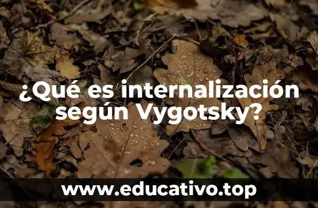 ¿Qué es internalización según Vygotsky?