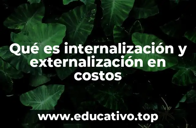 Qué es internalización y externalización en costos