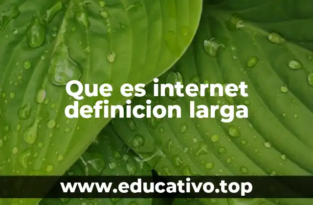 Que es internet definicion larga