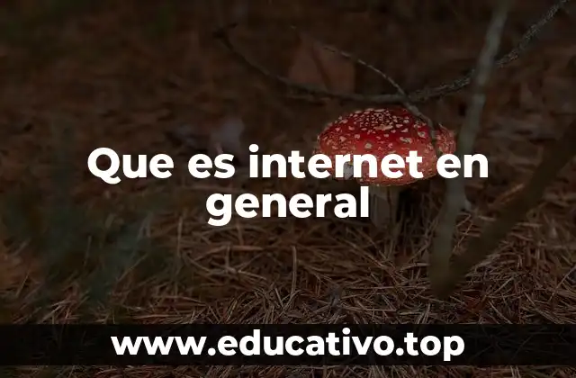 Que es internet en general