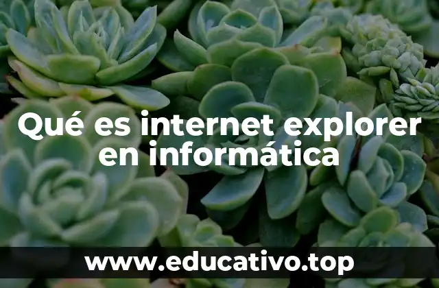 Qué es internet explorer en informática
