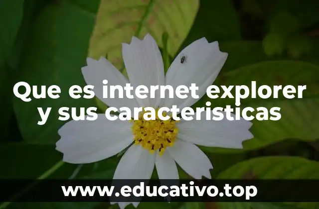 Que es internet explorer y sus caracteristicas