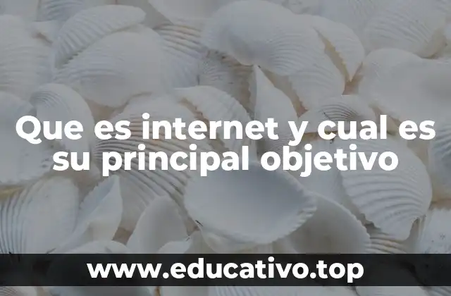 Que es internet y cual es su principal objetivo