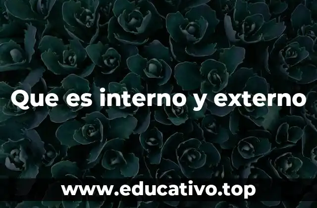 Que es interno y externo