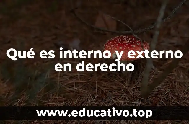 Qué es interno y externo en derecho