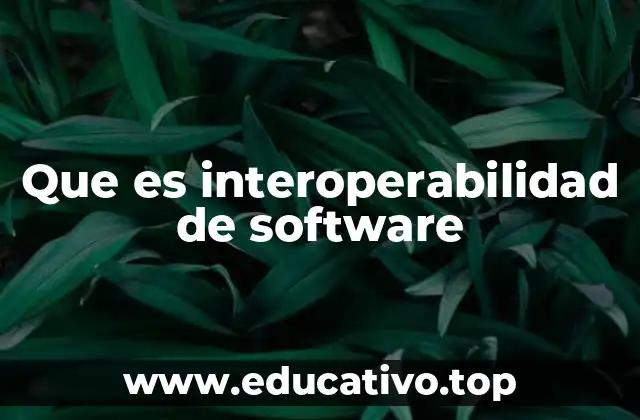 Que es interoperabilidad de software
