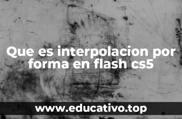 Que es interpolacion por forma en flash cs5