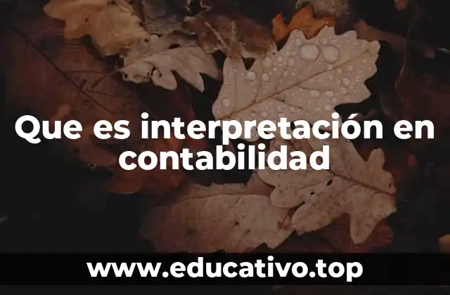 Que es interpretación en contabilidad