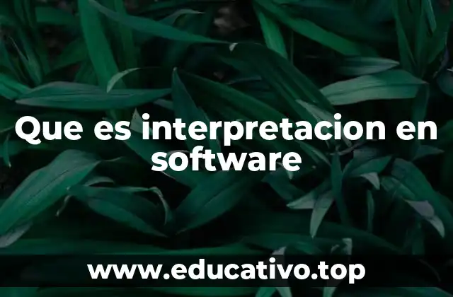 Que es interpretacion en software