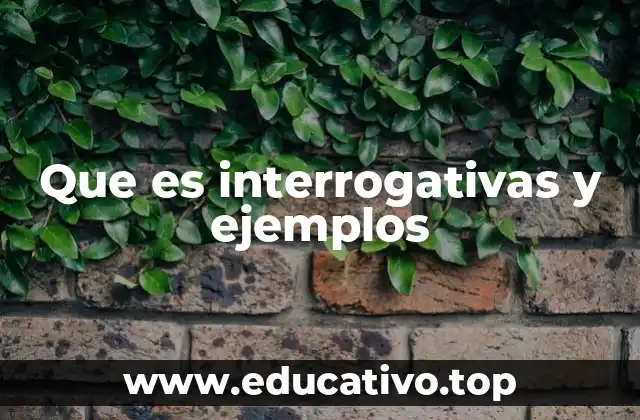 Que es interrogativas y ejemplos