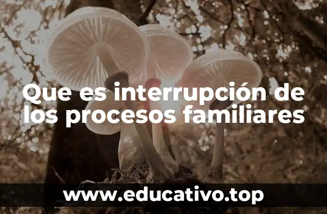 Que es interrupción de los procesos familiares