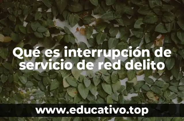 Qué es interrupción de servicio de red delito