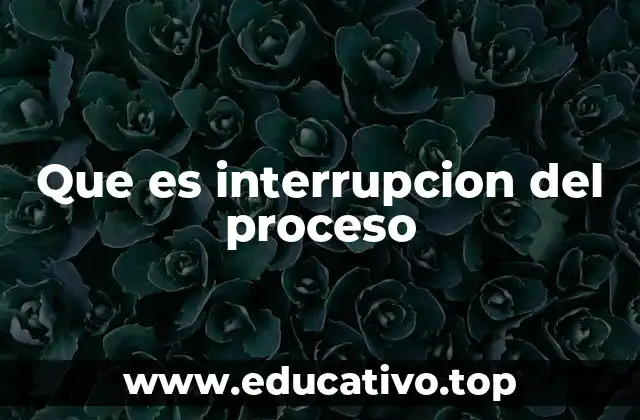 Que es interrupcion del proceso