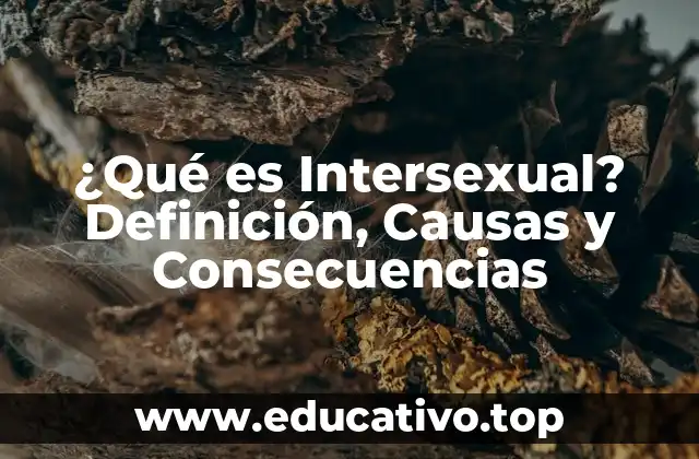 ¿Qué es Intersexual? Definición, Causas y Consecuencias