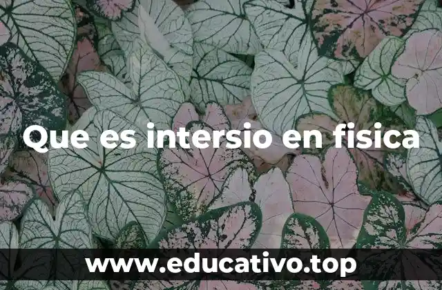 El intersio como concepto en teorías físicas modernas