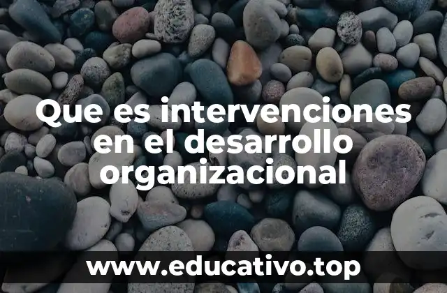 Que es intervenciones en el desarrollo organizacional