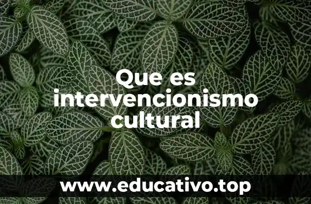 El papel del Estado en la cultura