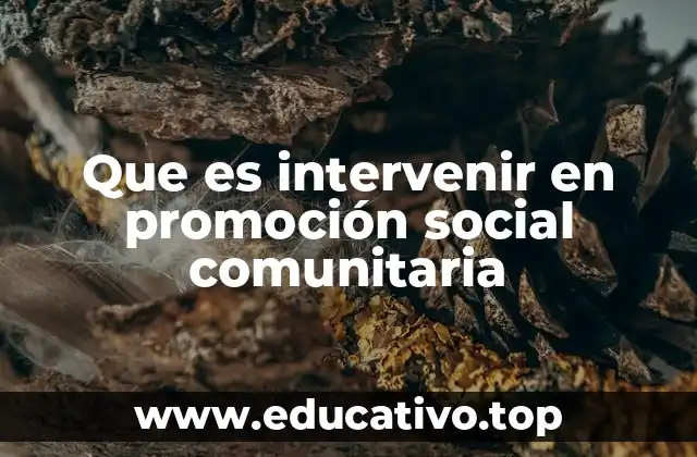Que es intervenir en promoción social comunitaria