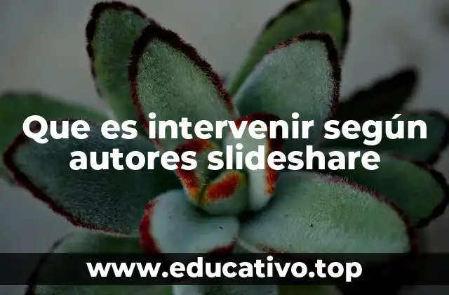 Que es intervenir según autores slideshare