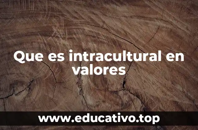 Que es intracultural en valores