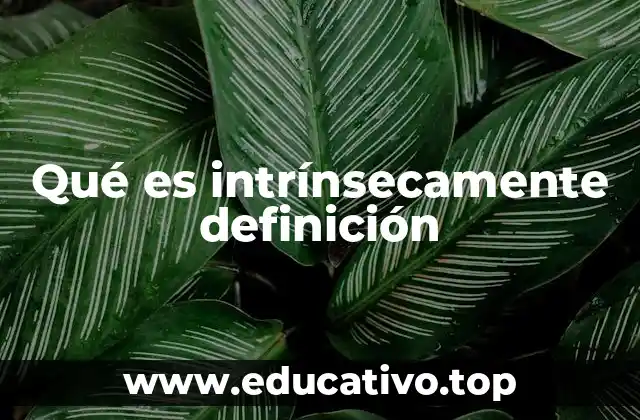 Qué es intrínsecamente definición