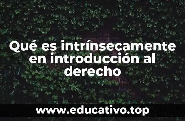 Qué es intrínsecamente en introducción al derecho