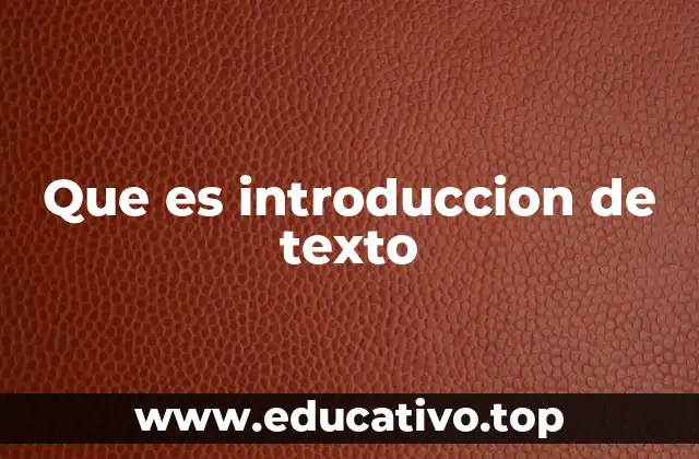 Que es introduccion de texto