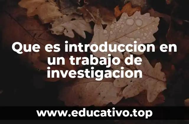 Que es introduccion en un trabajo de investigacion
