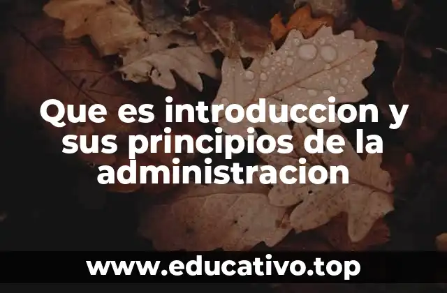 Que es introduccion y sus principios de la administracion