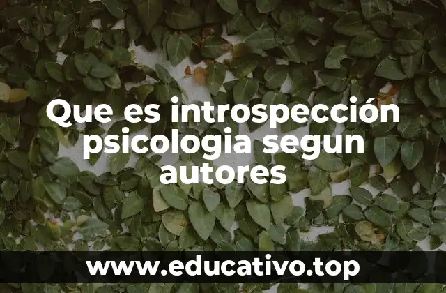 Que es introspección psicologia segun autores