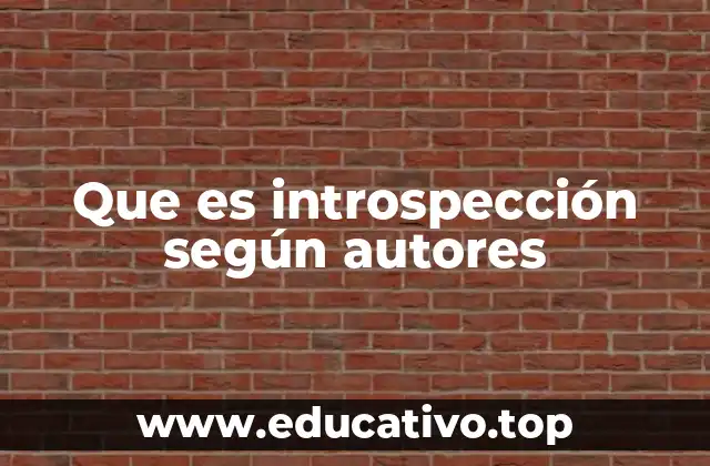 Que es introspección según autores