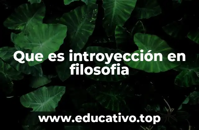 Que es introyección en filosofia