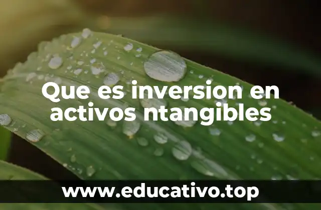 Que es inversion en activos ntangibles