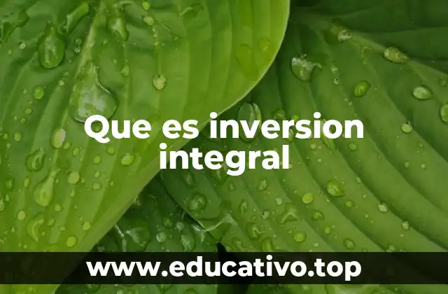 Que es inversion integral
