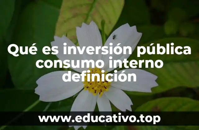 Qué es inversión pública consumo interno definición