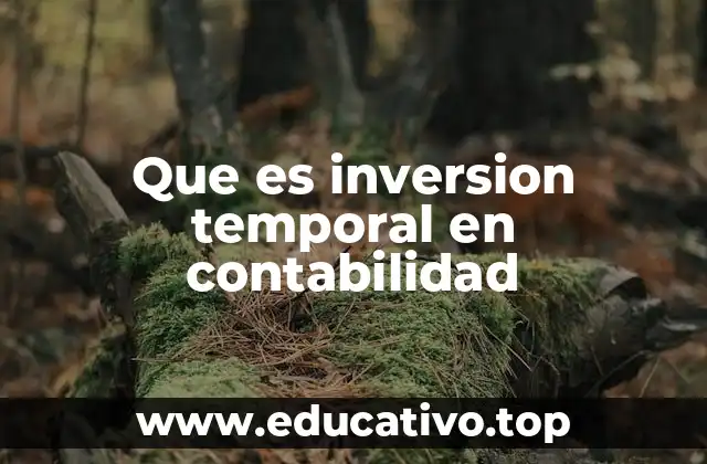 Que es inversion temporal en contabilidad