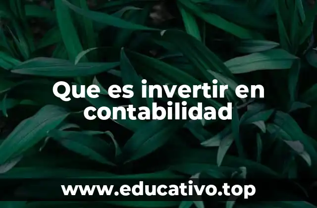 Que es invertir en contabilidad