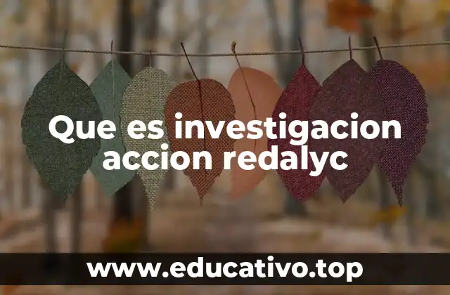 Que es investigacion accion redalyc