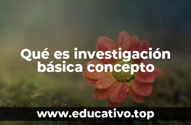 Qué es investigación básica concepto