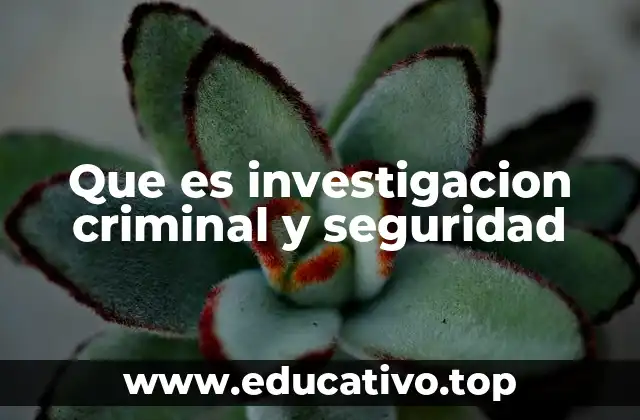 Que es investigacion criminal y seguridad