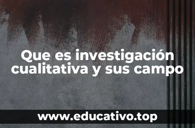 Que es investigación cualitativa y sus campo